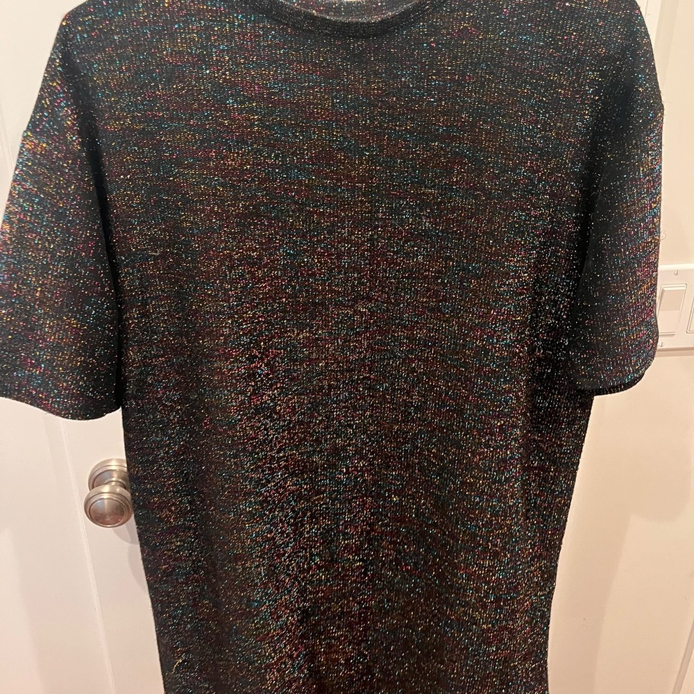 Zara Multicolor Sparkle Knit Top